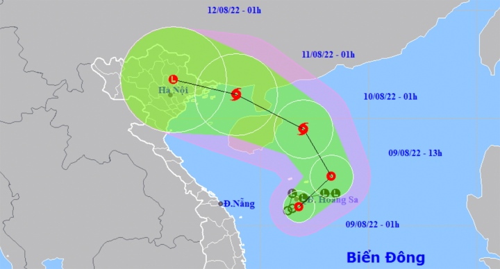 THỜI SỰ 6H SÁNG 09/8/2022: Trong 24 giờ tới, áp thấp nhiệt đới trên Biển Đông này có khả năng mạnh lên thành bão